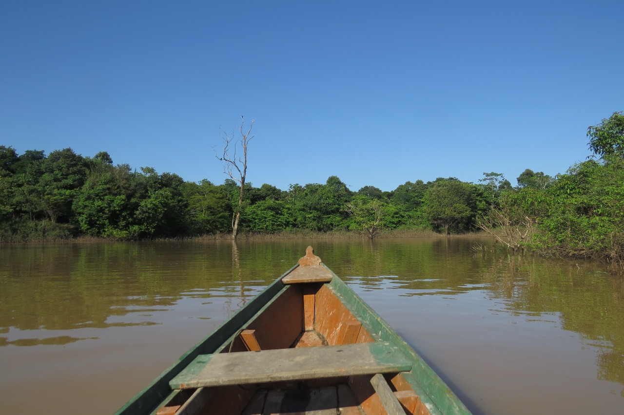 Pesca no Rio Madeira foi afetada pelas barragens das usinas Jirau e Santo Antônio (Foto: Rangel E. Santos) Descrição: foto mostra a frente de canoa em primeiro plano, com o rio e a floresta amazônica em segundo plano e o céu limpo e sem nuvens.
