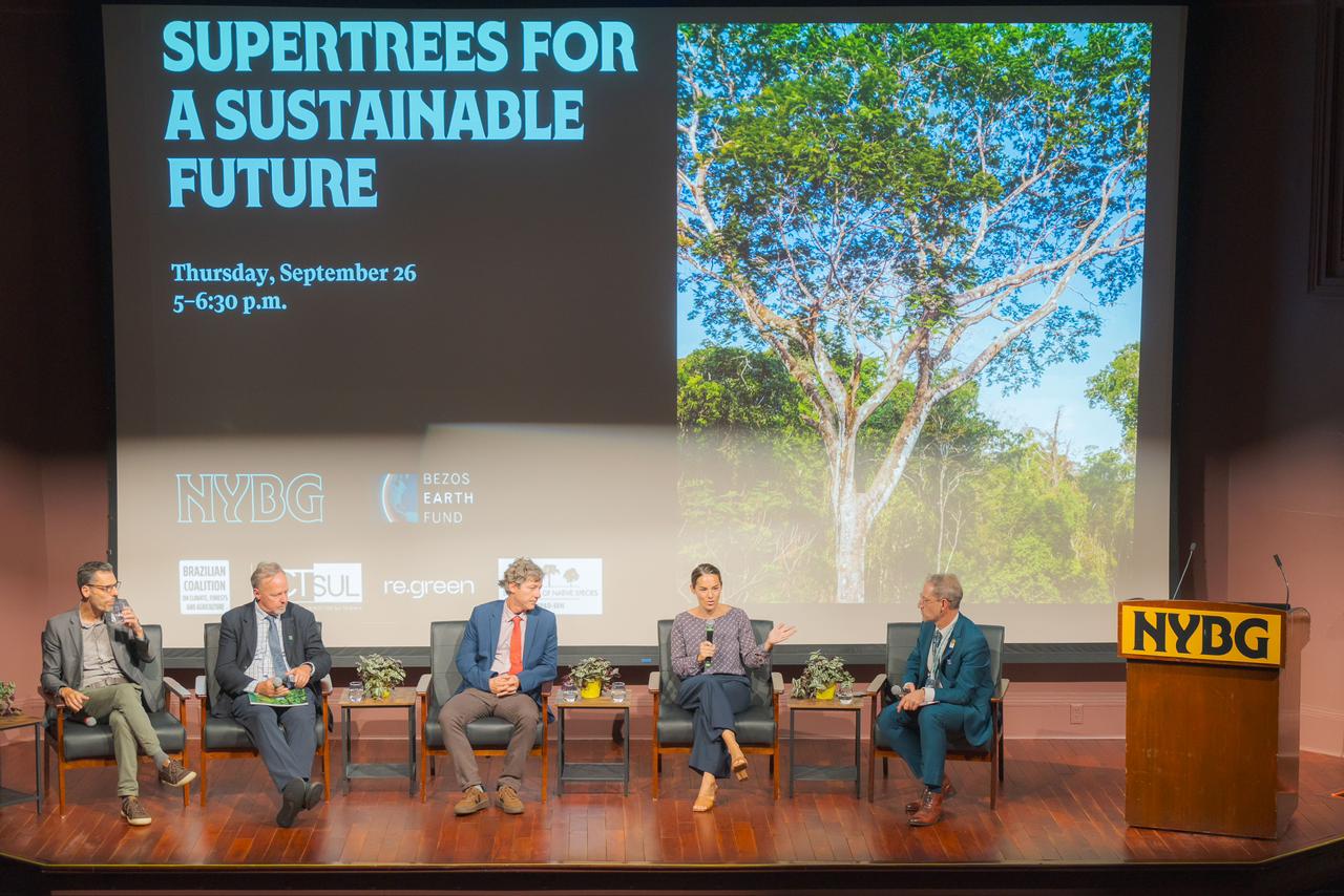 O professor Piotto participou da New York Climate Week, apresentando os primeiros resultados do programa no evento "Supertrees for a Sustainable Future" (acervo pessoal professor Daniel Piotto)